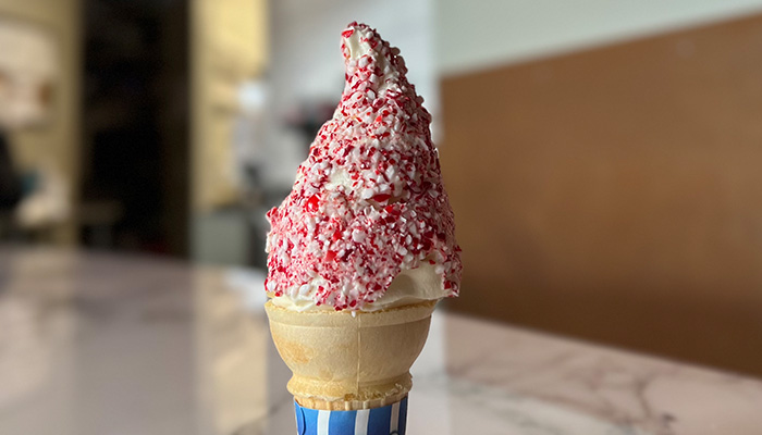 Soft serve ice cream bursting with flavor from Fanci Freez in Boise and Meridian Idaho.